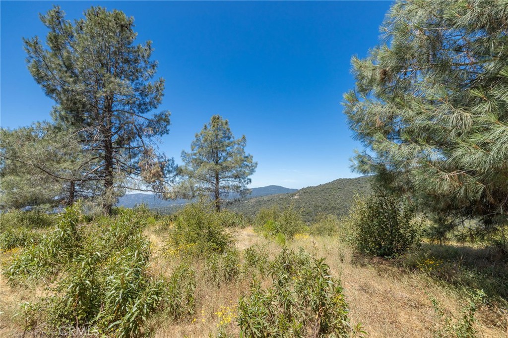 149 Acres Old Yosemite Road Property Photo 62