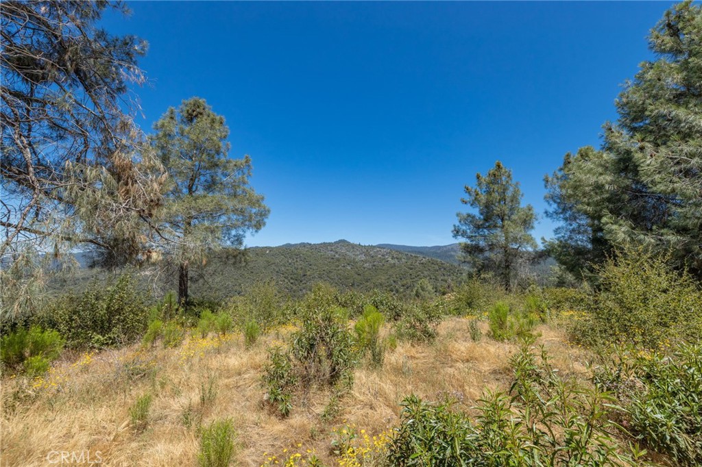 149 Acres Old Yosemite Road Property Photo 63