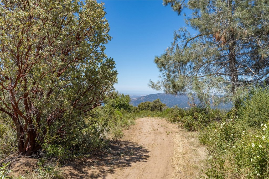 149 Acres Old Yosemite Road Property Photo 64