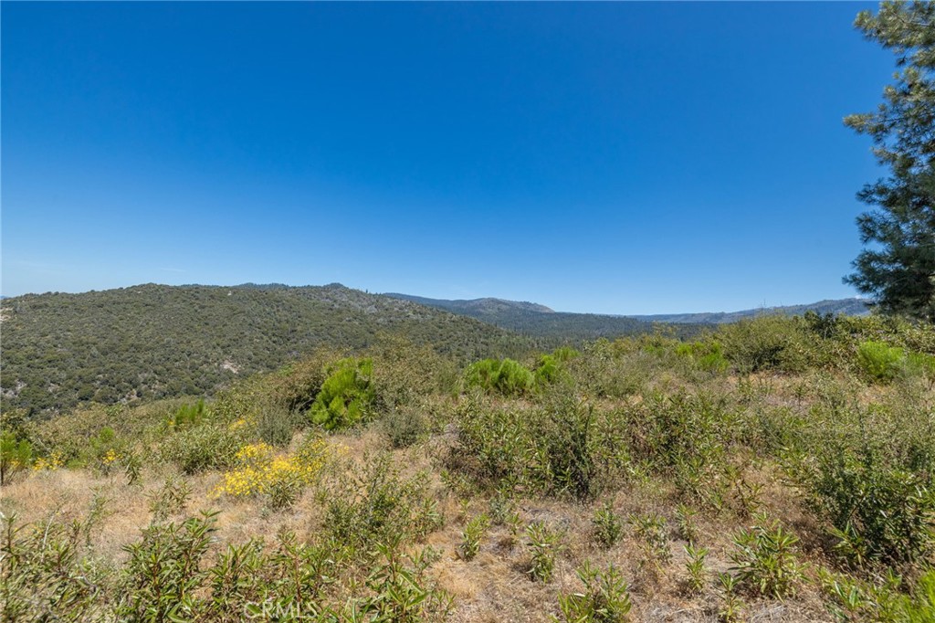 149 Acres Old Yosemite Road Property Photo 66
