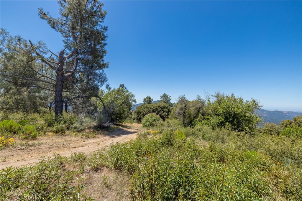 149 Acres Old Yosemite Road Property Photo 68