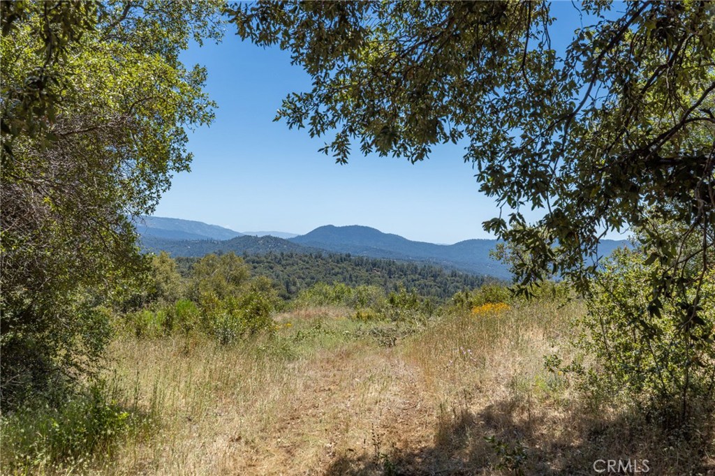 149 Acres Old Yosemite Road Property Photo 69