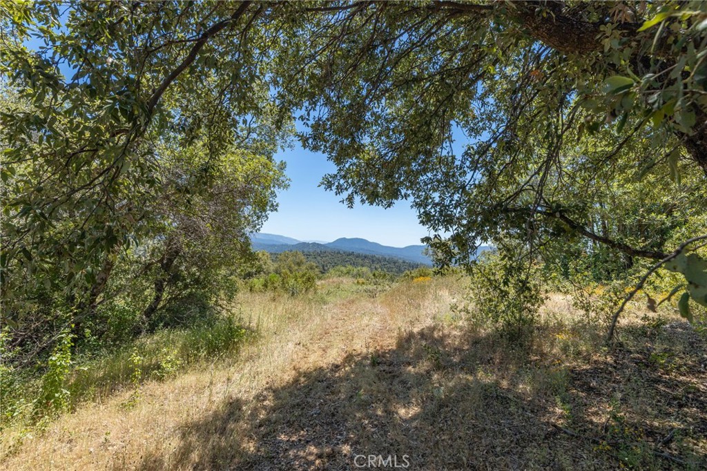 149 Acres Old Yosemite Road Property Photo 70