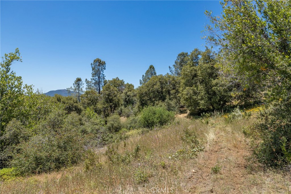 149 Acres Old Yosemite Road Property Photo 72