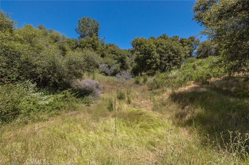 149 Acres Old Yosemite Road Property Photo 73