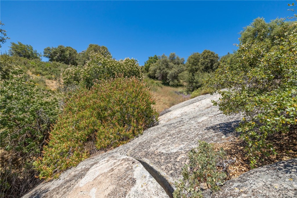149 Acres Old Yosemite Road Property Photo 74