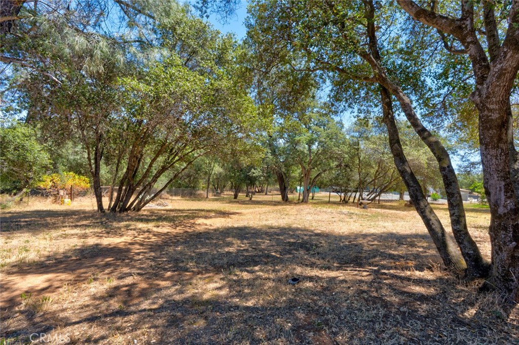 3363 Maravilla Property Photo 52