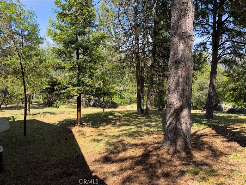 5800 Lehamite Fall Road Property Photo 64