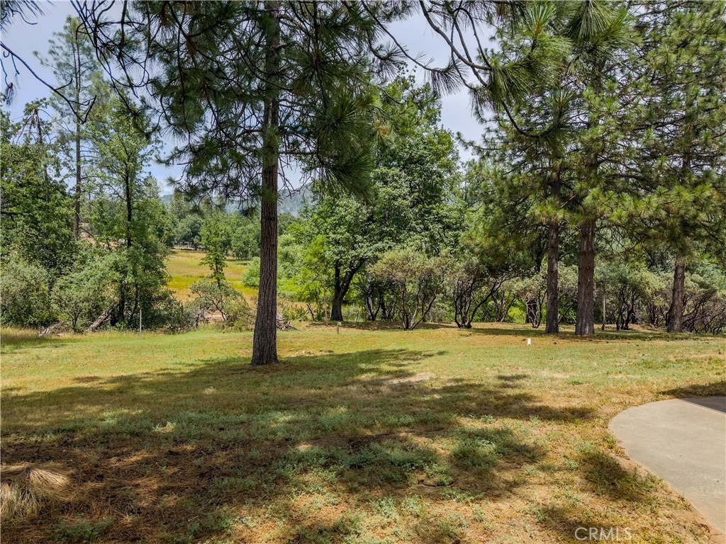 5800 Lehamite Fall Road Property Photo 65