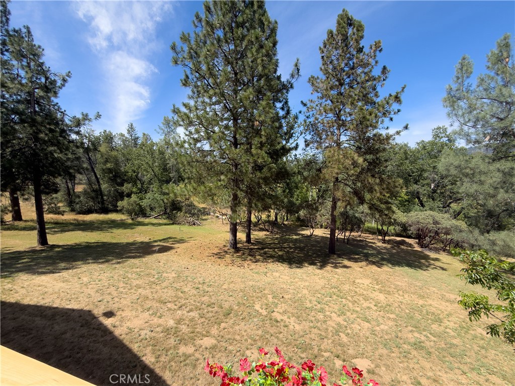 5800 Lehamite Fall Road Property Photo 67