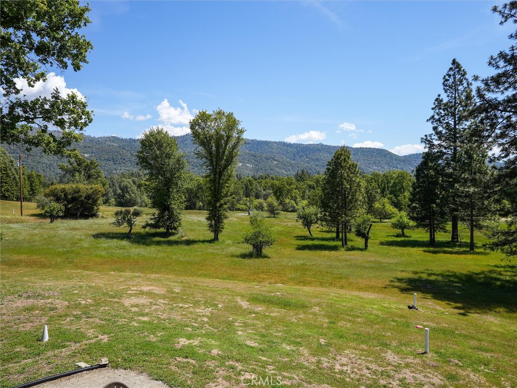 3137 Triangle Property Photo 38