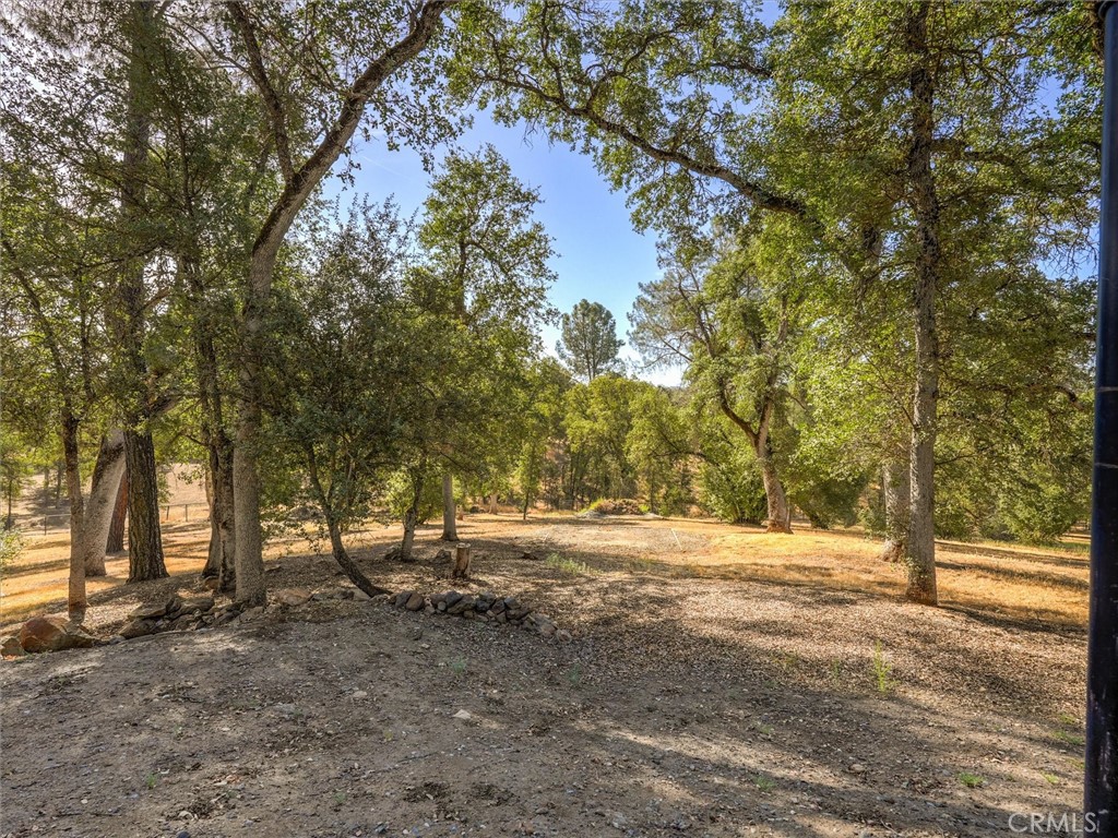 4139 Vista Grande Way Property Photo 47