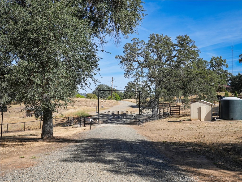 4139 Vista Grande Way Property Photo 50