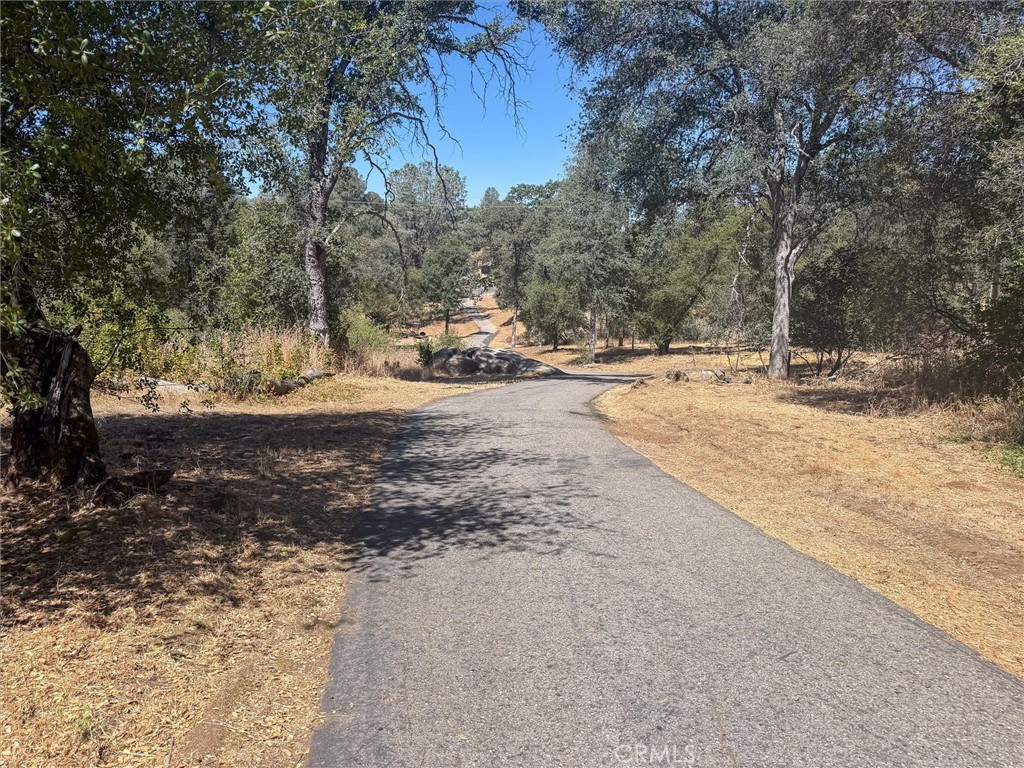 3628 Highway 49 S Property Photo 47