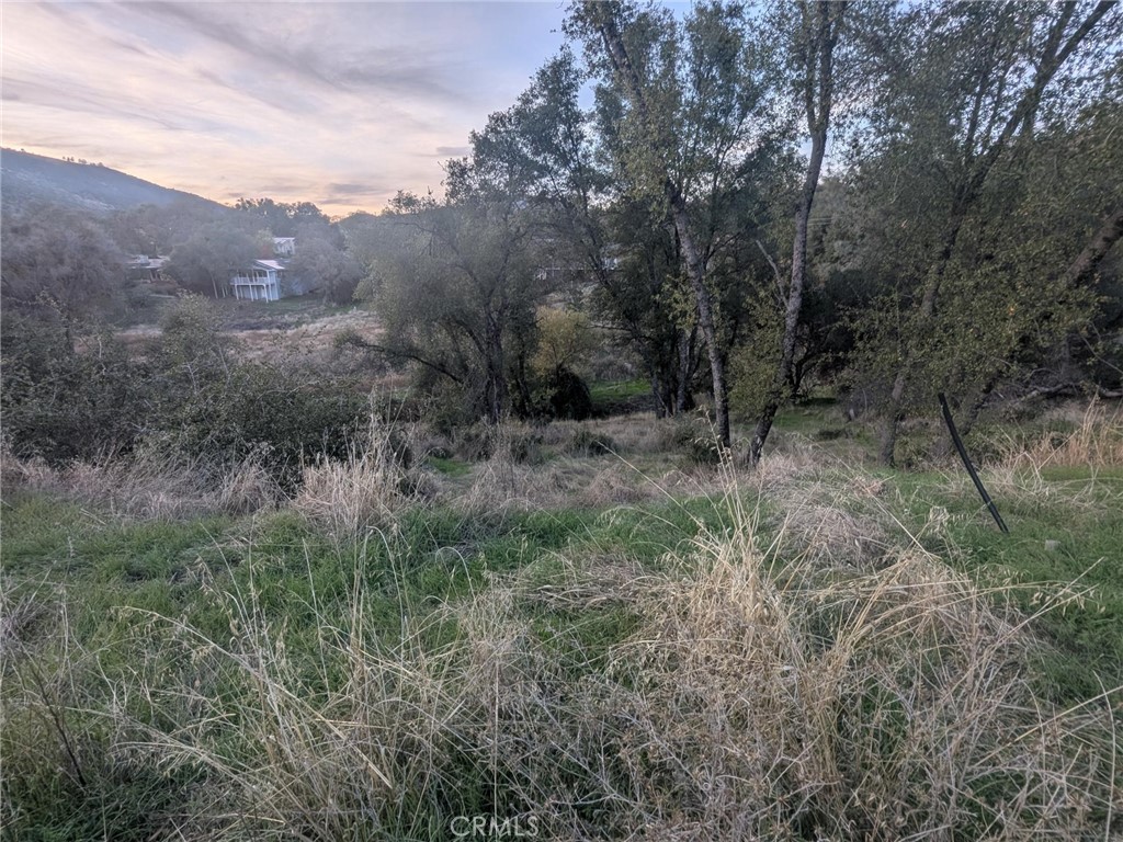 5255 White Oak Court Property Photo 3