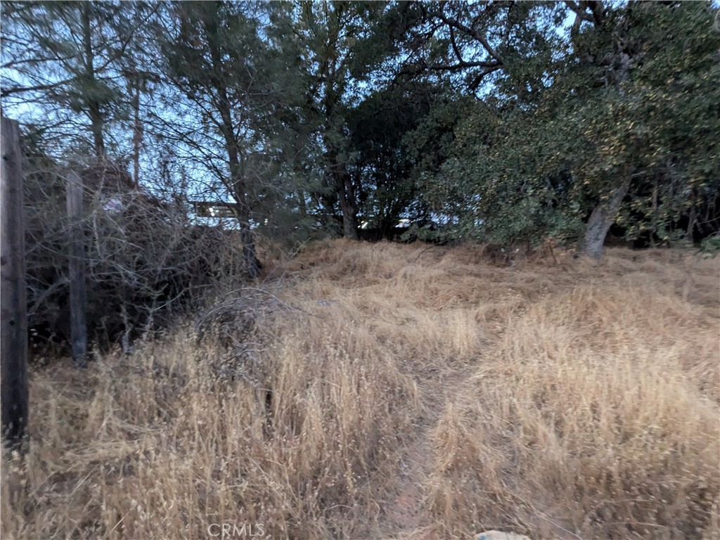 0 Joe Howard Street Property Photo 3
