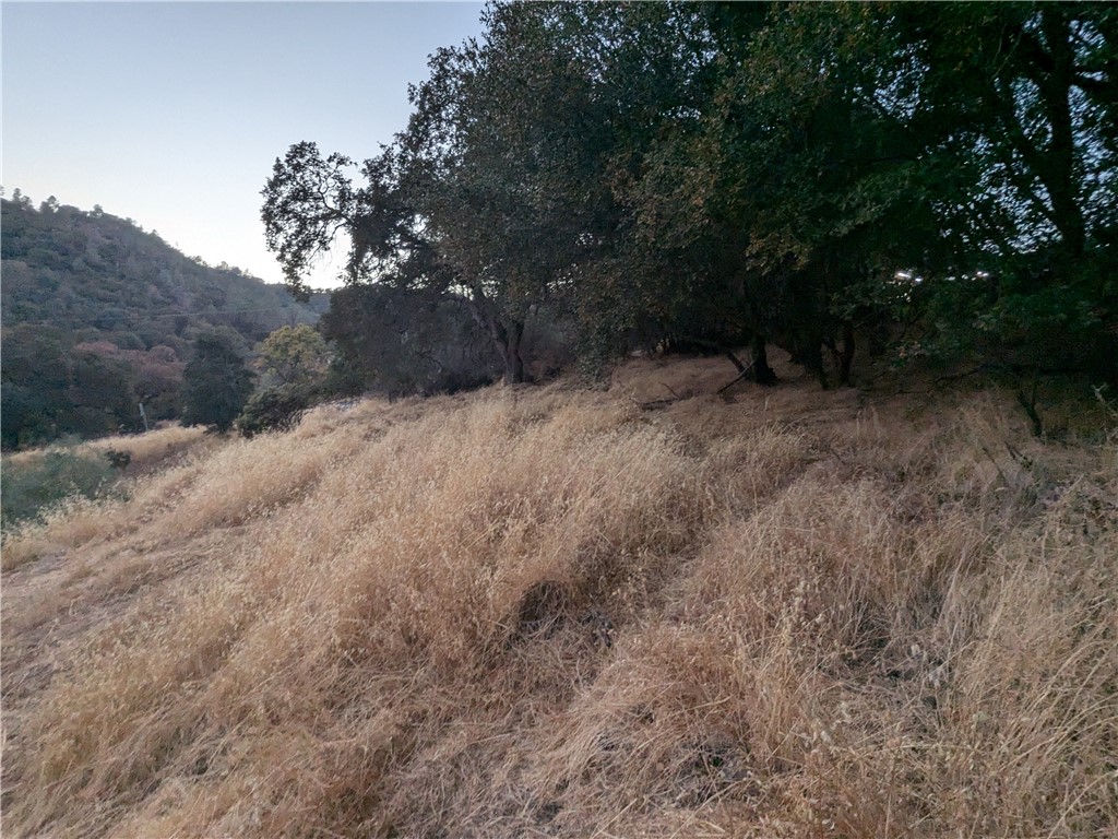 0 Joe Howard Street Property Photo 6