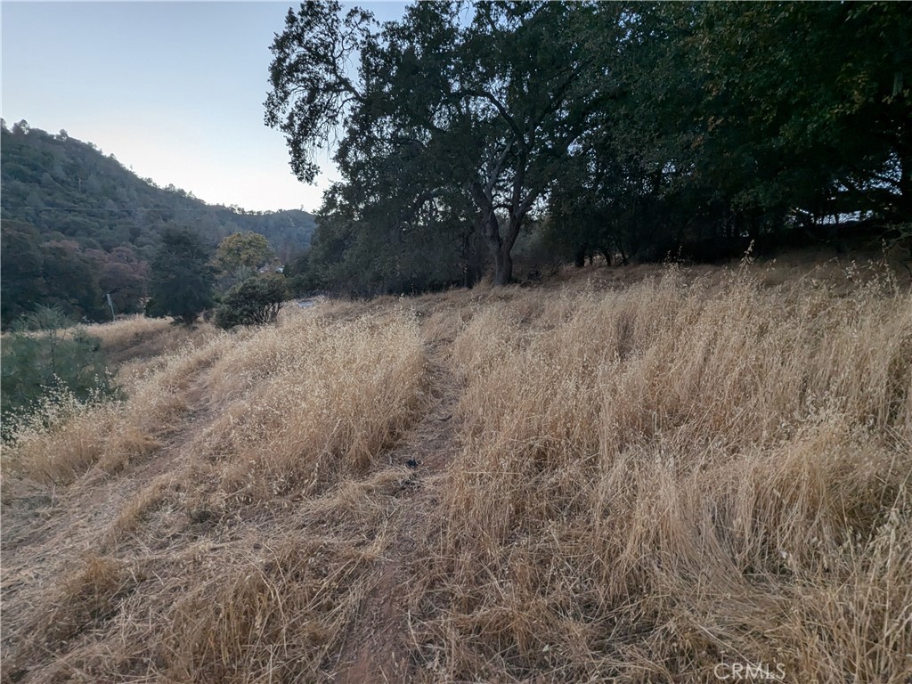 0 Joe Howard Street Property Photo 9