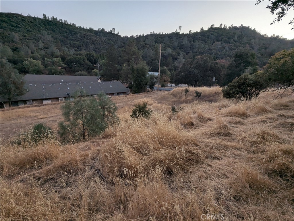 0 Joe Howard Street Property Photo 10