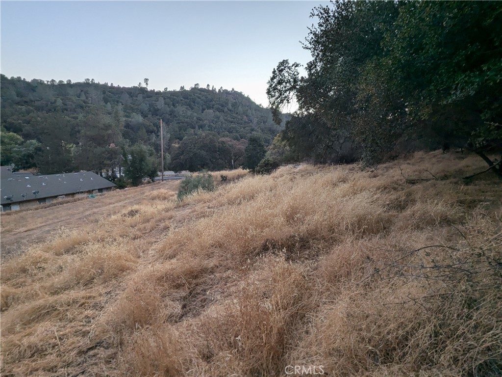 0 Joe Howard Street Property Photo 13