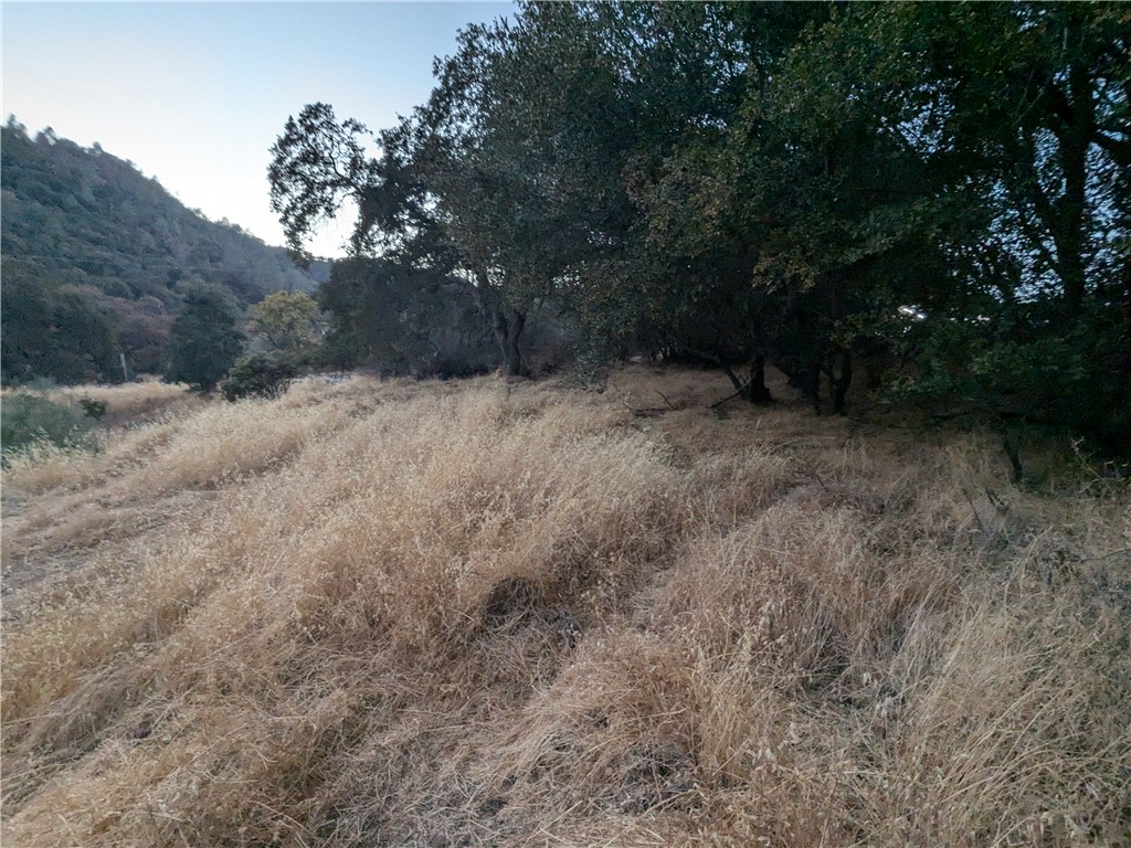 0 Joe Howard Street Property Photo 16