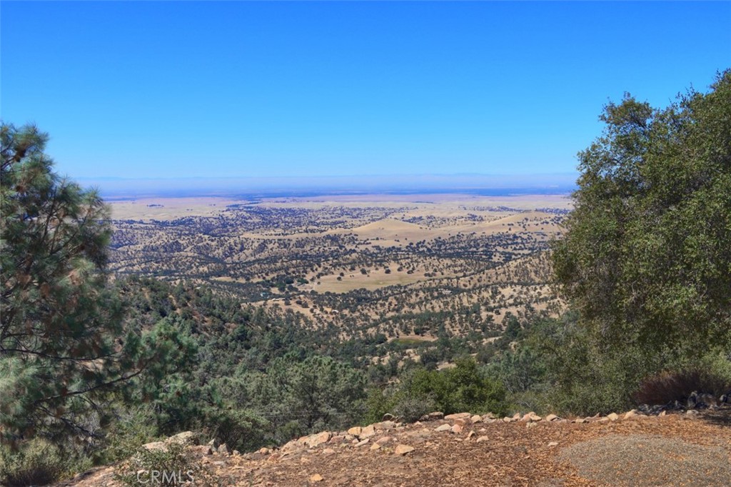 3818 Guadalupe Fire Road Property Photo 15