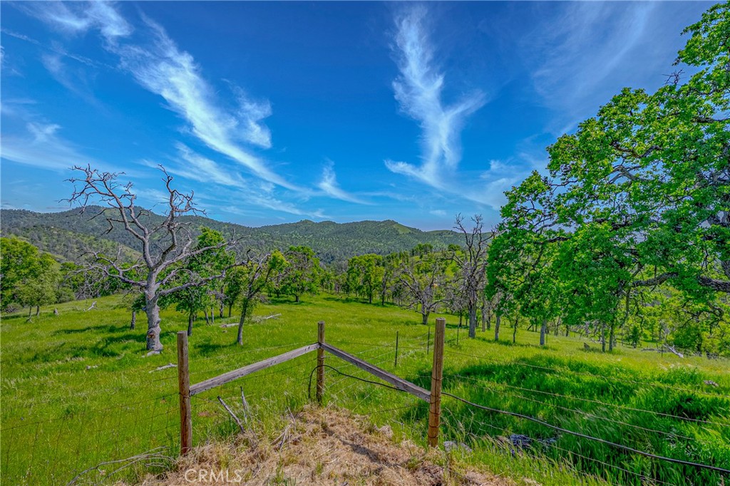 3084 Old Highway Property Photo 41