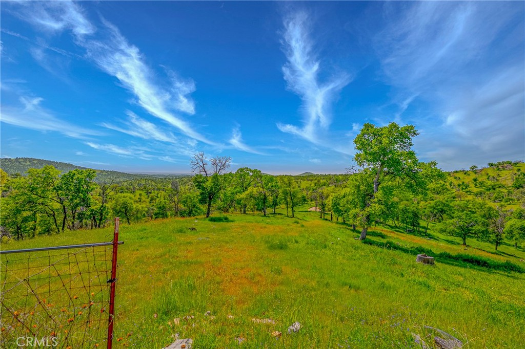 3084 Old Highway Property Photo 42