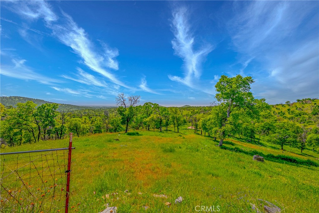 3084 Old Highway Property Photo 42