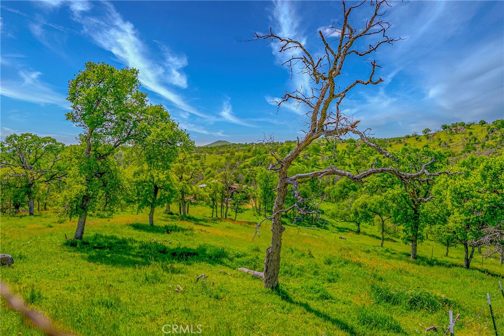 3084 Old Highway Property Photo 43