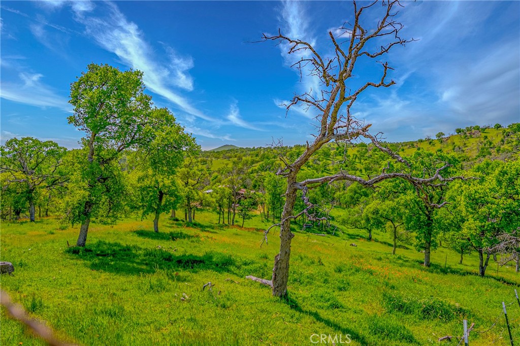 3084 Old Highway Property Photo 43