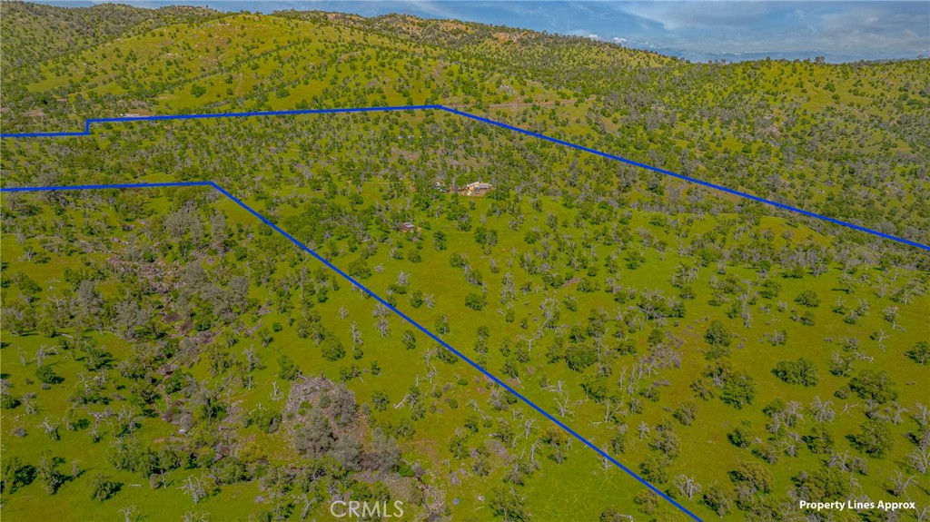 3084 Old Highway Property Photo 44