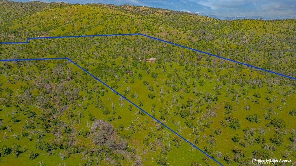 3084 Old Highway Property Photo 44