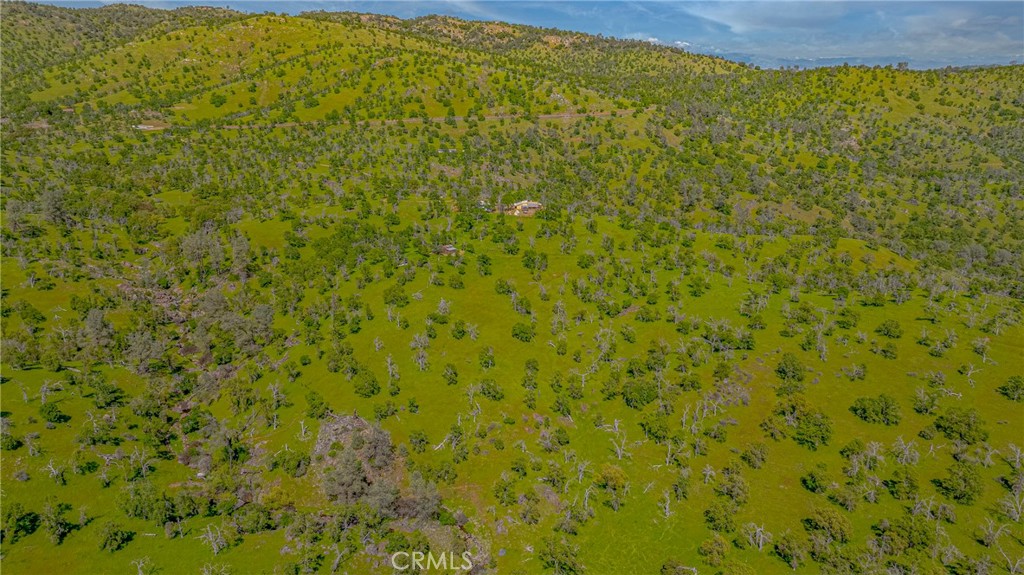 3084 Old Highway Property Photo 45