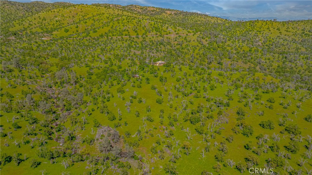 3084 Old Highway Property Photo 45