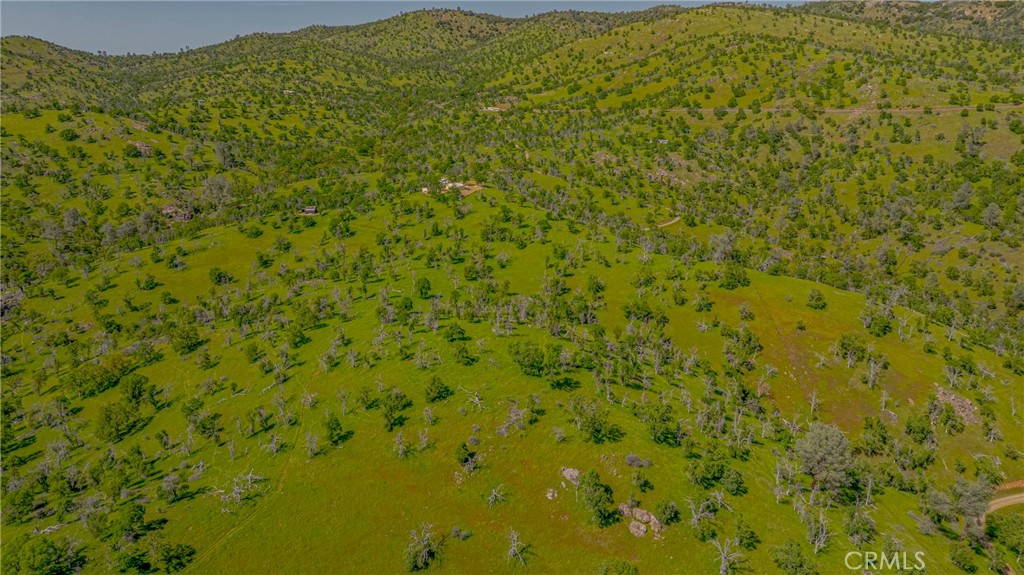 3084 Old Highway Property Photo 47