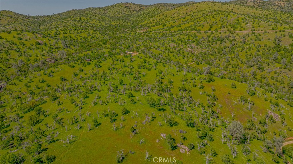 3084 Old Highway Property Photo 47