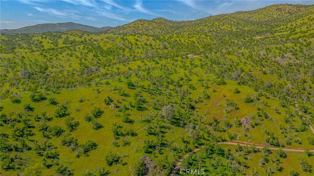 3084 Old Highway Property Photo 48