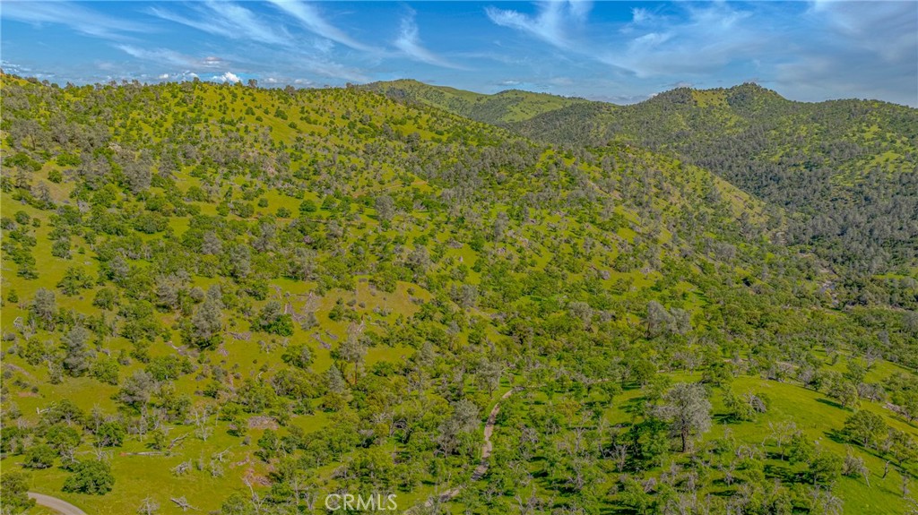 3084 Old Highway Property Photo 49