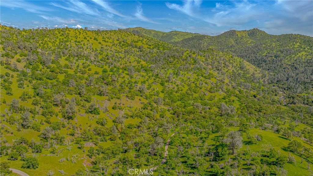 3084 Old Highway Property Photo 49