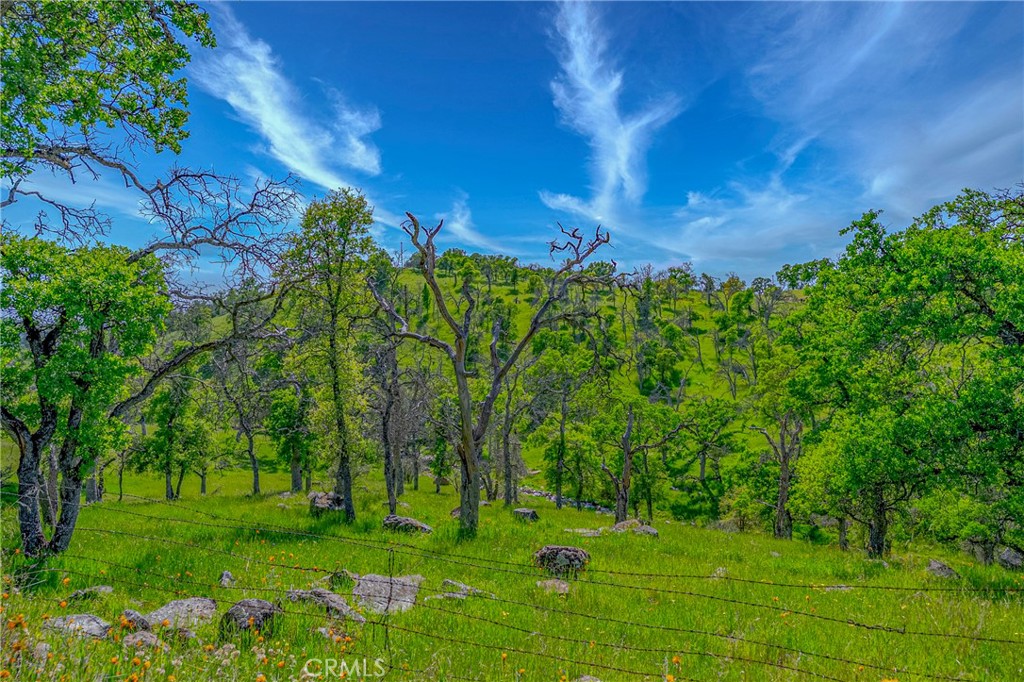 3084 Old Highway Property Photo 53