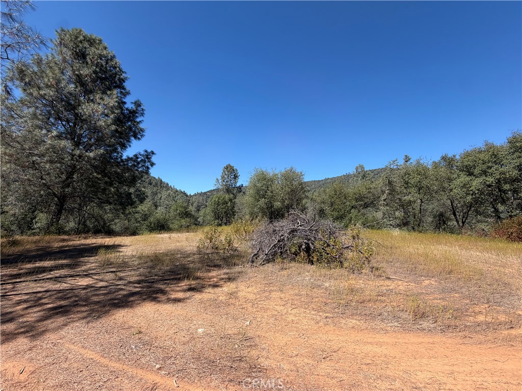 5540 Gold Creek Property Photo 9