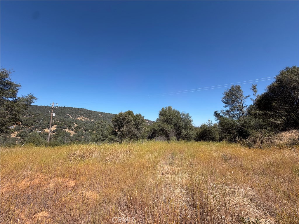 5540 Gold Creek Property Photo 11