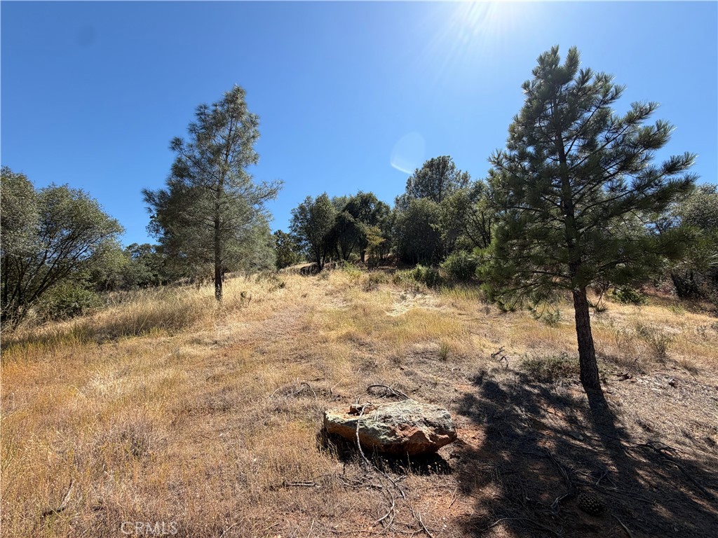 5540 Gold Creek Property Photo 12