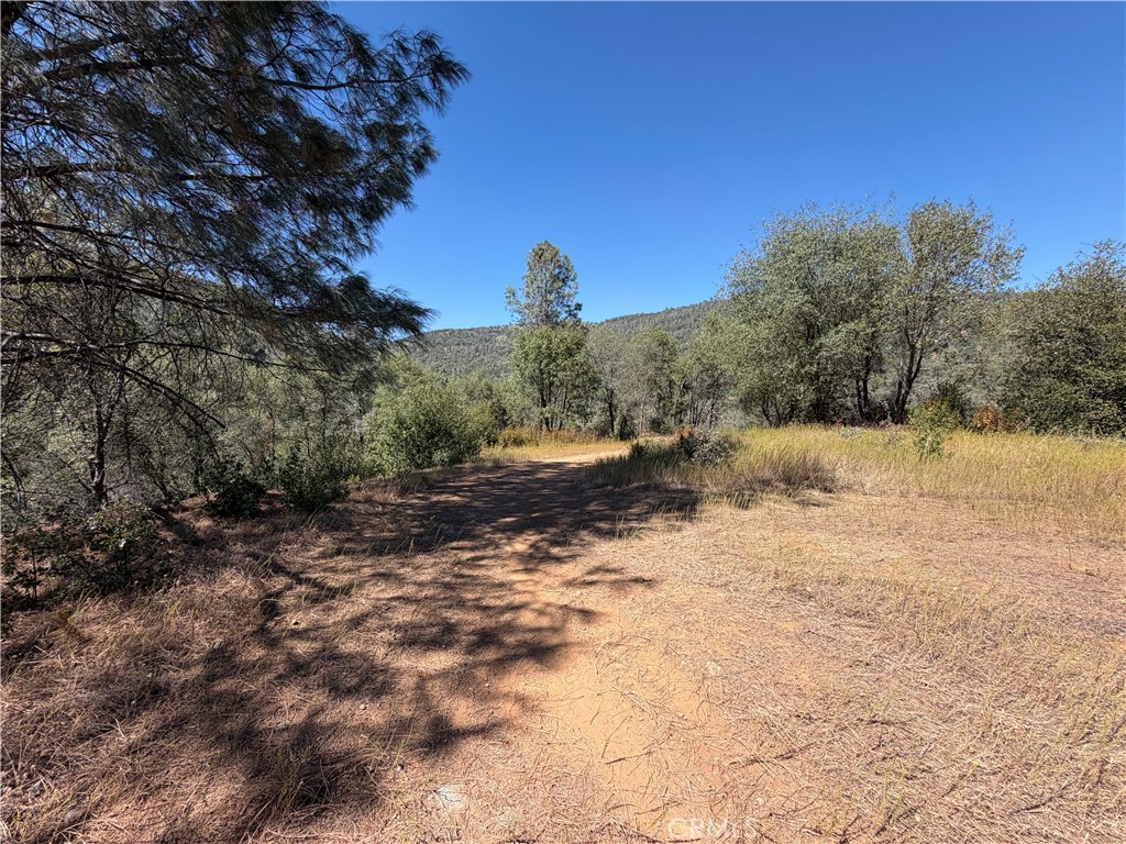 5540 Gold Creek Property Photo 13