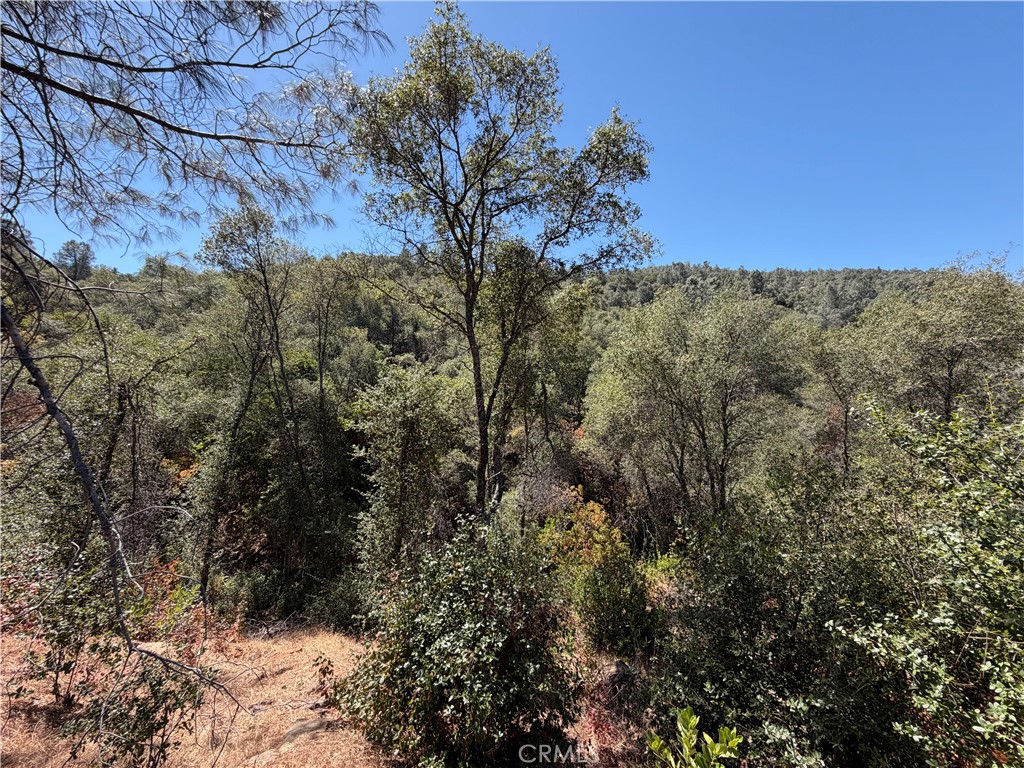 5540 Gold Creek Property Photo 14