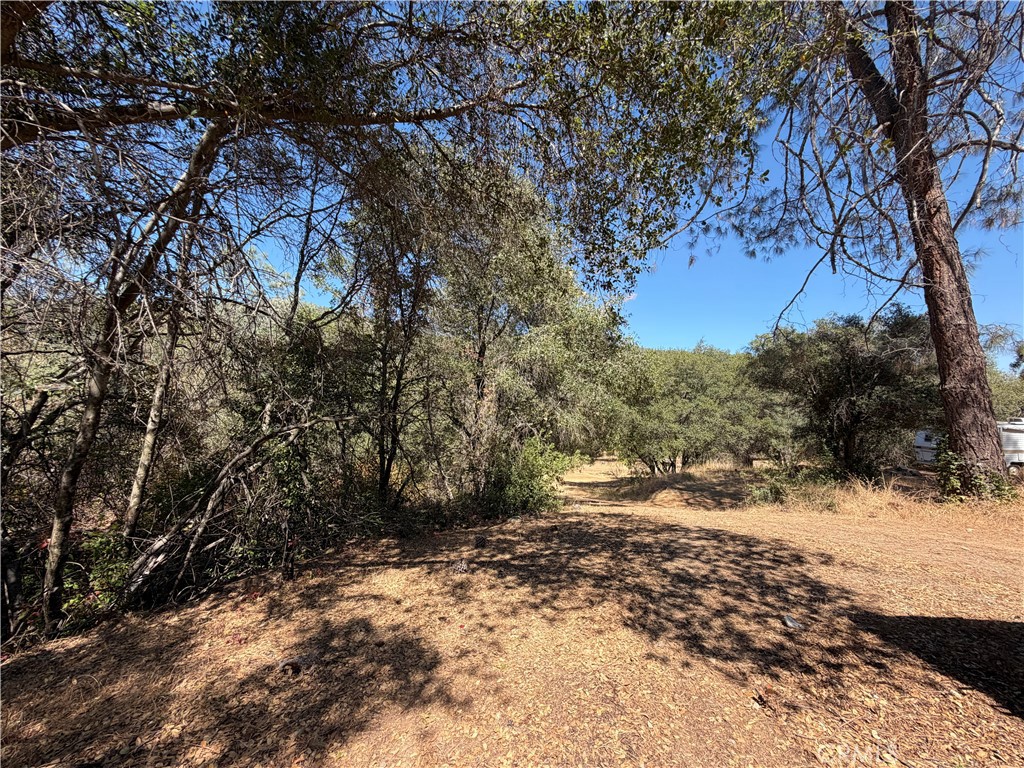 5540 Gold Creek Property Photo 19