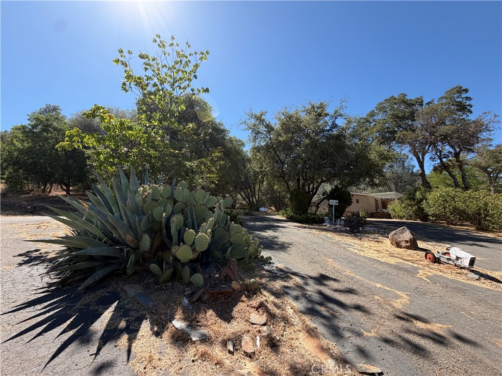 5540 Gold Creek Property Photo 26