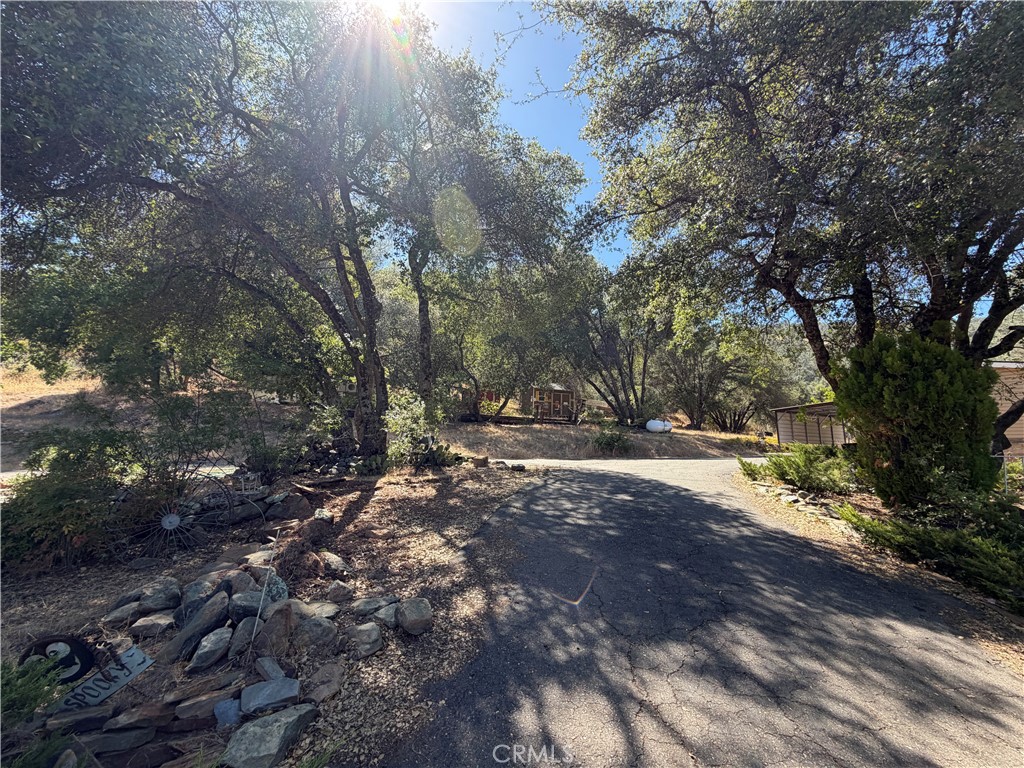 5540 Gold Creek Property Photo 27