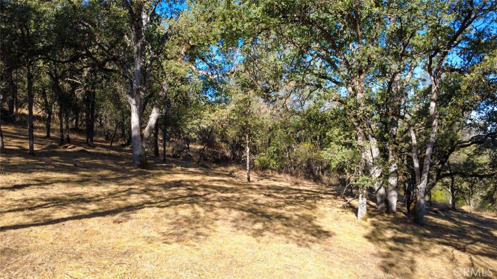 6005 Sherlock Property Photo 29